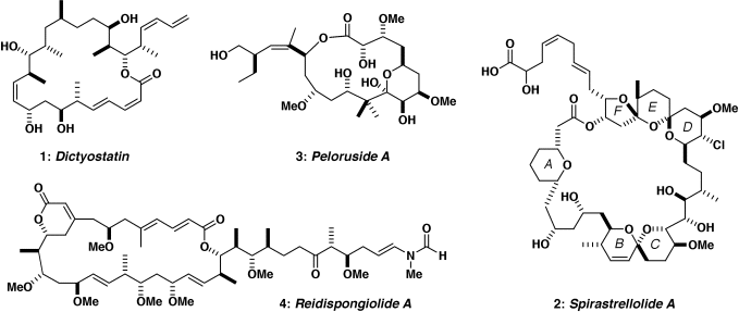 Synthetic targets