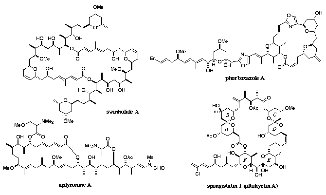swinholide A, phorboxazol A, aplronine A, spongistatin 1