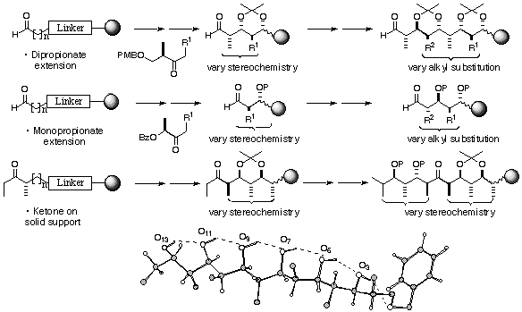synthesis of polyketides on solid support