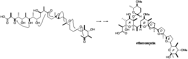 cylisation cascade in synthesis of etheromycin