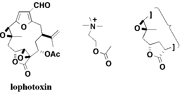 lophotoxin alalogues