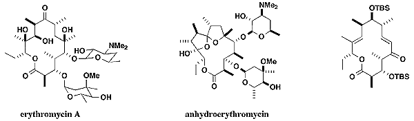 erythromycin and analogues
